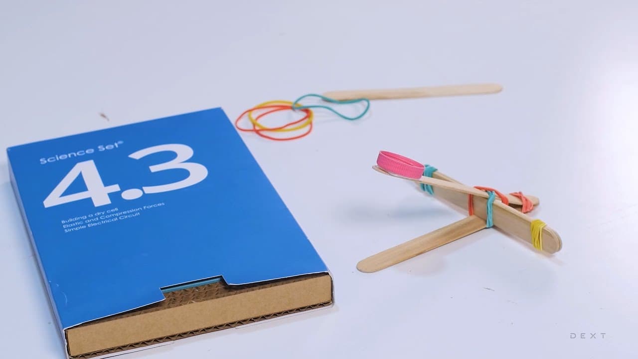 The Elastic Force Game