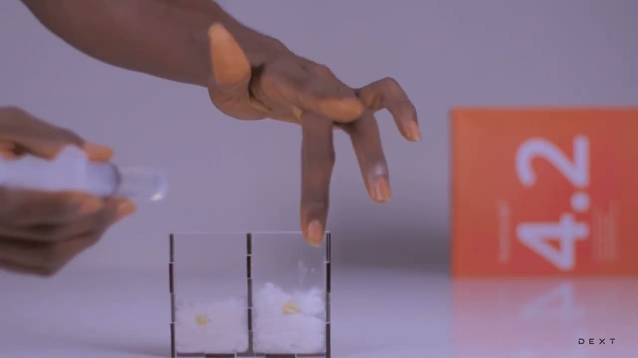 The Germination Process