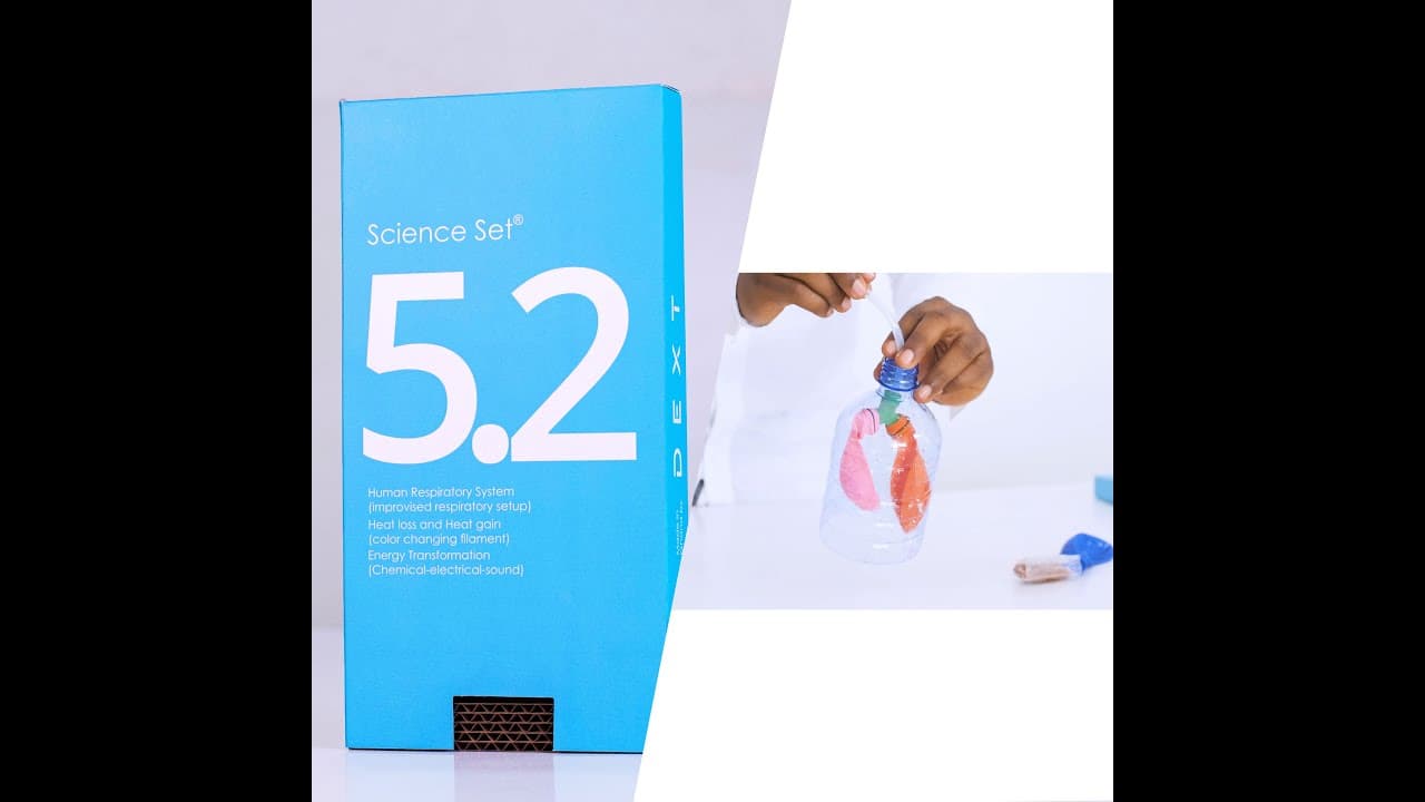 Model of the Human Respiratory System